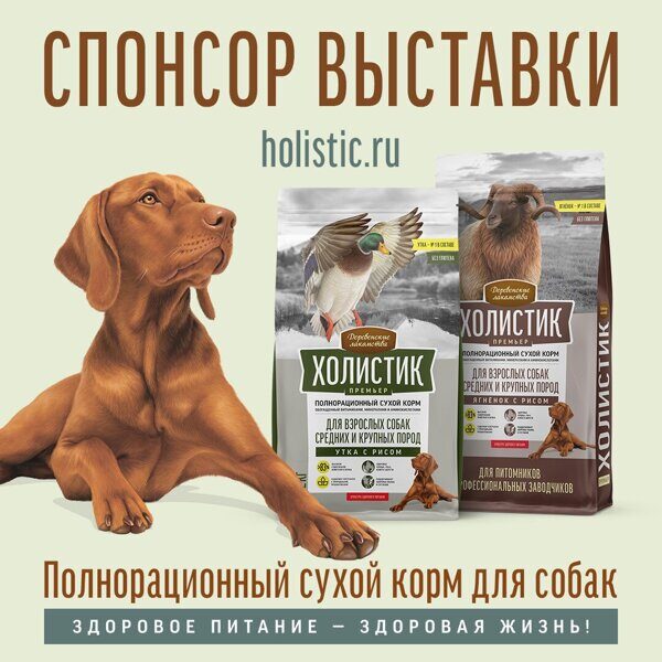 sponsor_vystavki_holistk-dog1.jpg