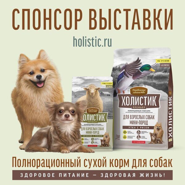 sponsor_vystavki_holistk-dog2.jpg